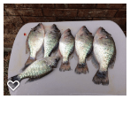 Crappie Catch