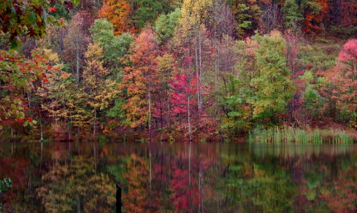 Lake in the Fall