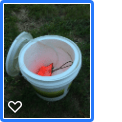 insulated minnow bucket
