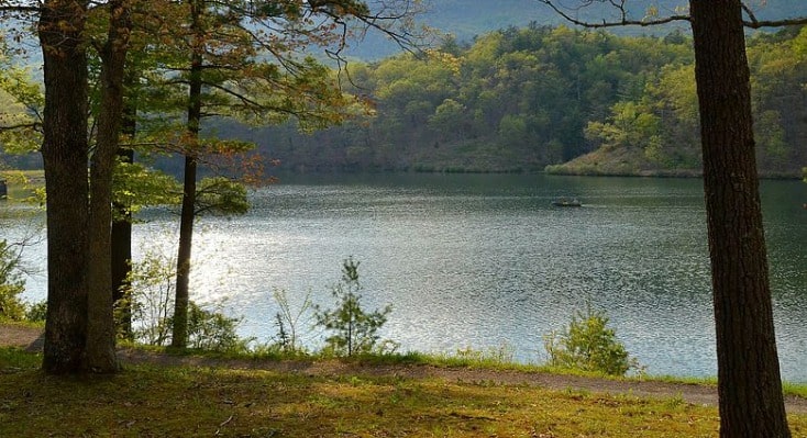 Lake in Spring