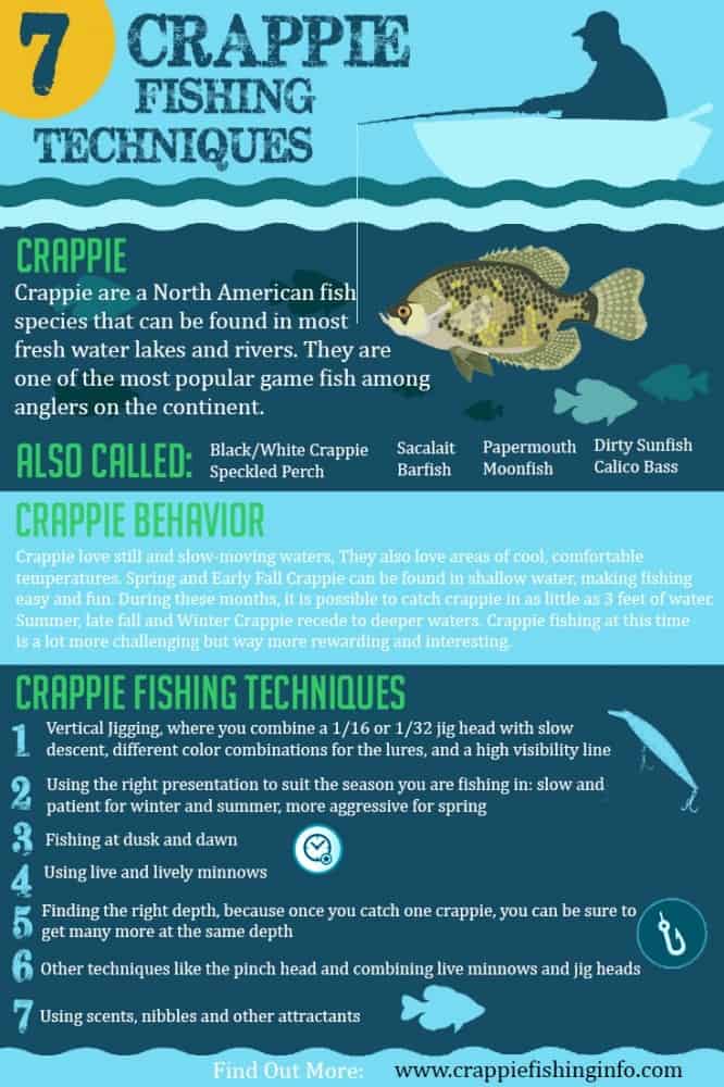 crappie fishing techniques infographic